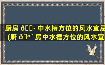厨房 🌷 中水槽方位的风水宜忌(厨 🪴 房中水槽方位的风水宜忌是什么)
